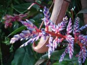 22.jpg - 2010:02:10 13:31:40