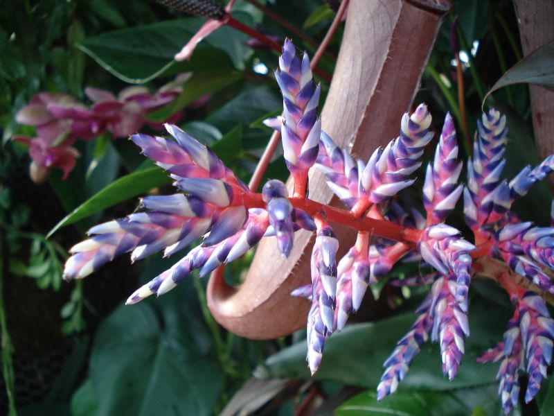 Viewing photos→2010→2010-02-10→22