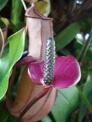 23.jpg - 2010:02:10 13:31:51