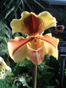 24.jpg - 2010:02:10 13:35:42