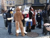 042.jpg - 2010:05:22 14:46:36