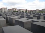 016.jpg - 2010:05:25 15:13:29