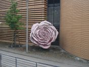 027.jpg - 2010:05:25 16:09:13