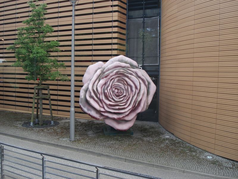 Viewing photos→2010→2010-05-25→027