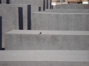 059.jpg - 2010:05:26 11:12:26