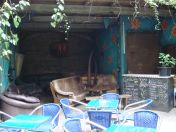 080.jpg - 2010:05:26 13:47:28