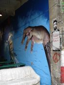 082.jpg - 2010:05:26 13:47:58