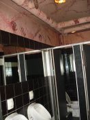 121.jpg - 2010:05:26 21:17:24