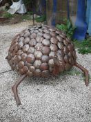 136.jpg - 2010:05:27 09:31:29