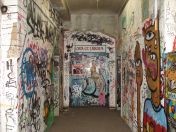 183.jpg - 2010:05:27 10:06:53