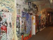 184.jpg - 2010:05:27 10:07:02