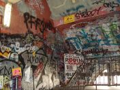 185.jpg - 2010:05:27 10:14:32