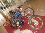 259.jpg - 2010:05:28 13:21:51