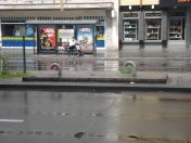 379.jpg - 2010:05:30 12:52:26