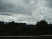 005.jpg - 2010:07:24 13:38:40