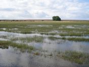 022.jpg - 2010:07:25 15:00:48