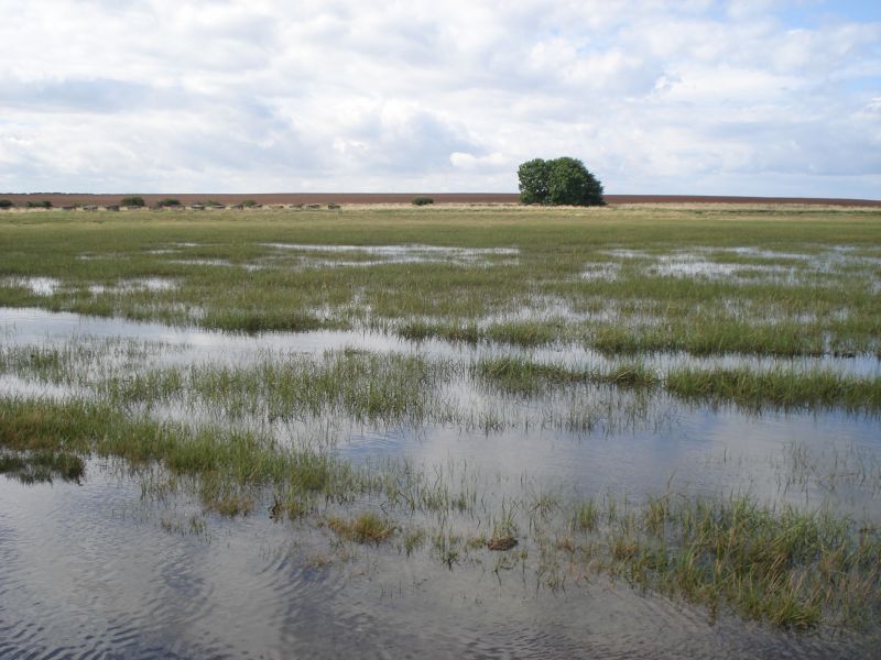 Viewing photos→2010→2010-07-24→022