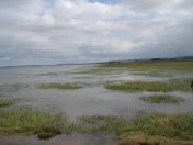 023.jpg - 2010:07:25 15:00:59