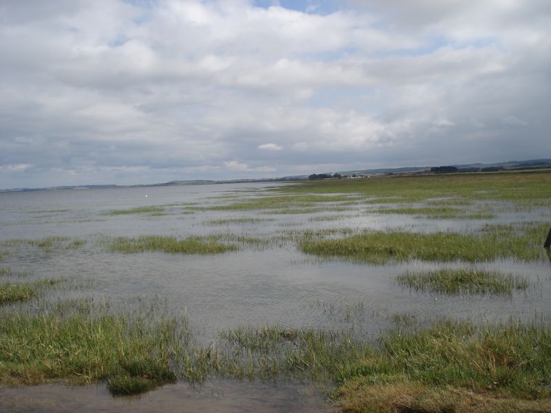 Viewing photos→2010→2010-07-24→023