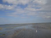 024.jpg - 2010:07:25 15:01:15