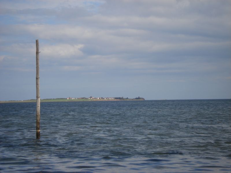 Viewing photos→2010→2010-07-24→031