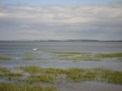 034.jpg - 2010:07:25 15:21:30