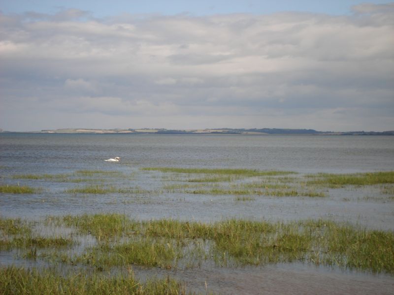 Viewing photos→2010→2010-07-24→034