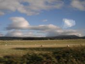 046.jpg - 2010:07:25 18:12:56