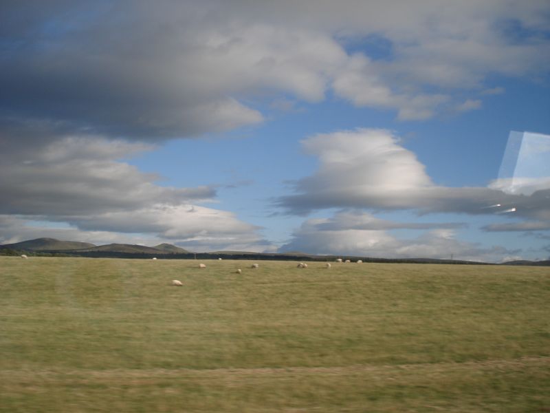 Viewing photos→2010→2010-07-24→047