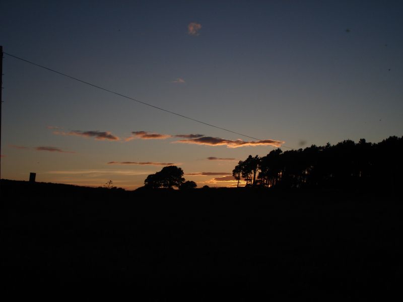 Viewing photos→2010→2010-07-24→059