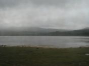 099.jpg - 2010:07:28 10:11:00