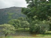 105.jpg - 2010:07:29 11:06:02