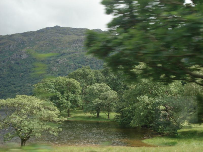 Viewing photos→2010→2010-07-24→105