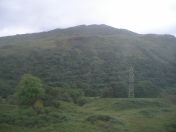 002.jpg - 2010:08:07 06:28:38