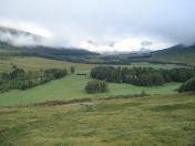 009.jpg - 2010:08:07 07:07:29