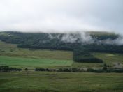 018.jpg - 2010:08:07 07:11:51