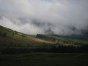 020.jpg - 2010:08:07 07:13:33