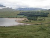 025.jpg - 2010:08:07 07:23:25