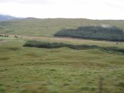 027.jpg - 2010:08:07 07:25:40