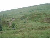 028.jpg - 2010:08:07 07:32:07