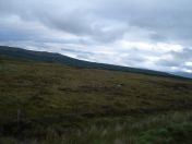 029.jpg - 2010:08:07 07:34:05