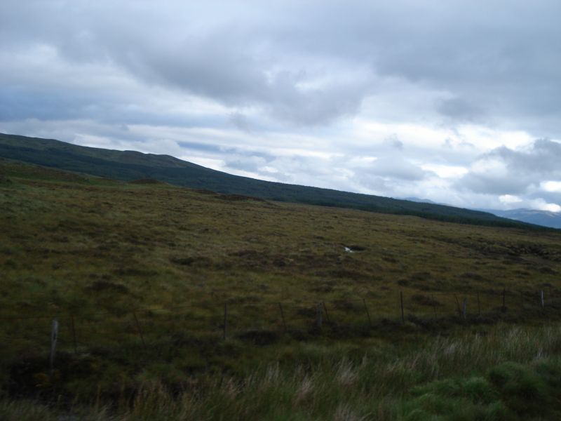 Viewing photos→2010→2010-08-07→029