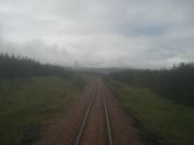 030.jpg - 2010:08:07 07:37:24