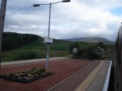 031.jpg - 2010:08:07 07:47:57