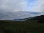 032.jpg - 2010:08:07 07:48:45