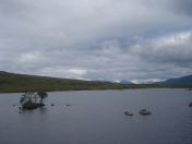 034.jpg - 2010:08:07 07:52:50