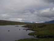 035.jpg - 2010:08:07 07:52:57