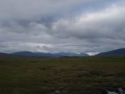 037.jpg - 2010:08:07 07:54:32