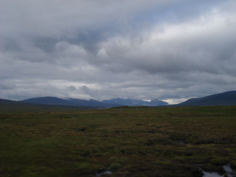 Viewing photos→2010→2010-08-07→037