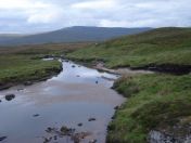 038.jpg - 2010:08:07 07:57:28